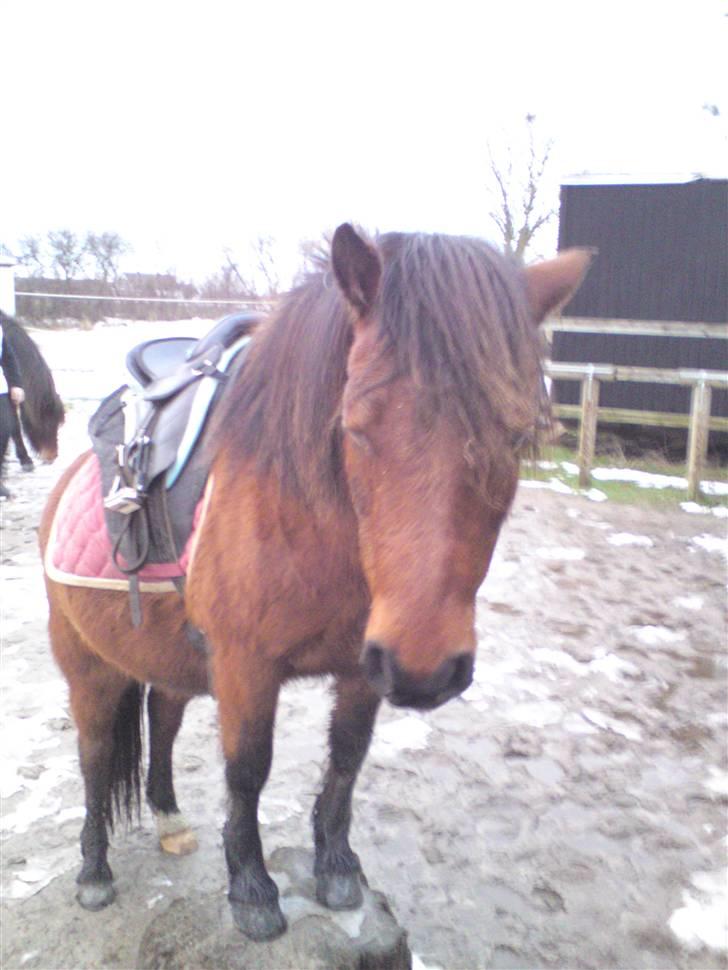 Billeder Af Sigurd, mig Marco, Petra & Signe - Petra på stup.. billede 25