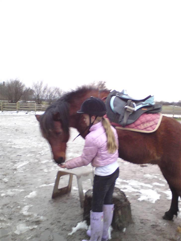 Billeder Af Sigurd, mig Marco, Petra & Signe - Tøzzen igen bare sammen med Signe. billede 30