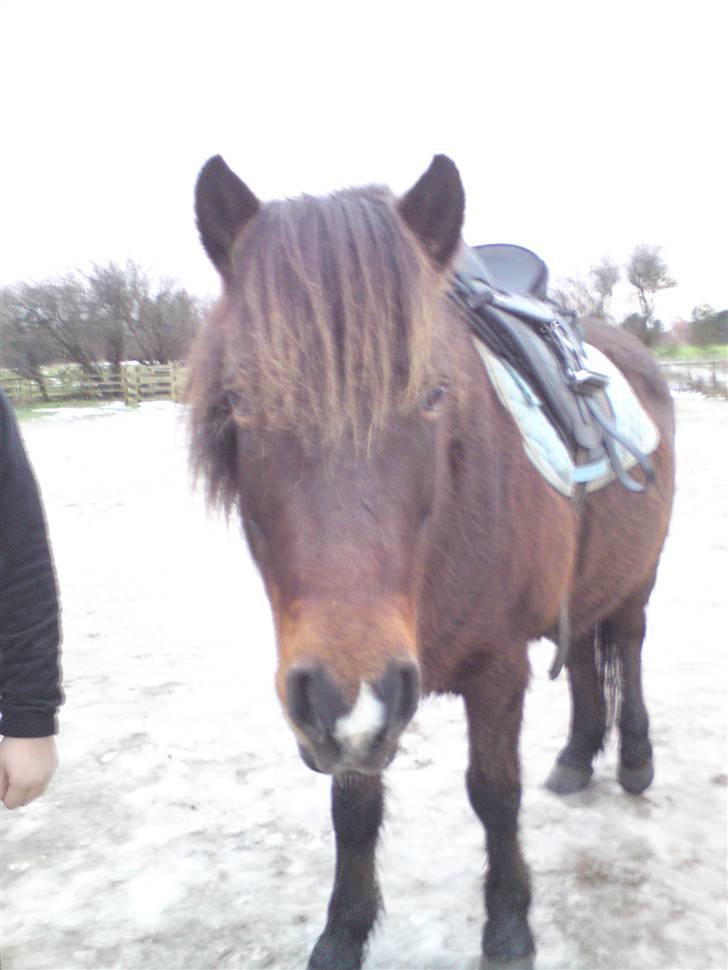 Billeder Af Sigurd, mig Marco, Petra & Signe - Sigurd drengen :) billede 4