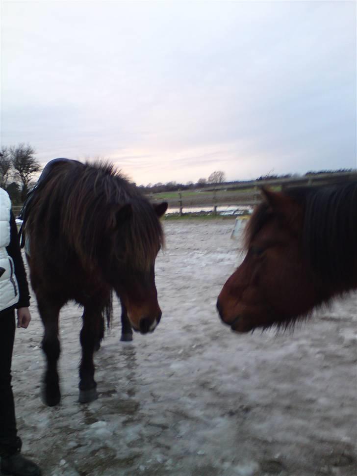 Billeder Af Sigurd, mig Marco, Petra & Signe - Sigurd & Petra er da gode venner.. billede 34