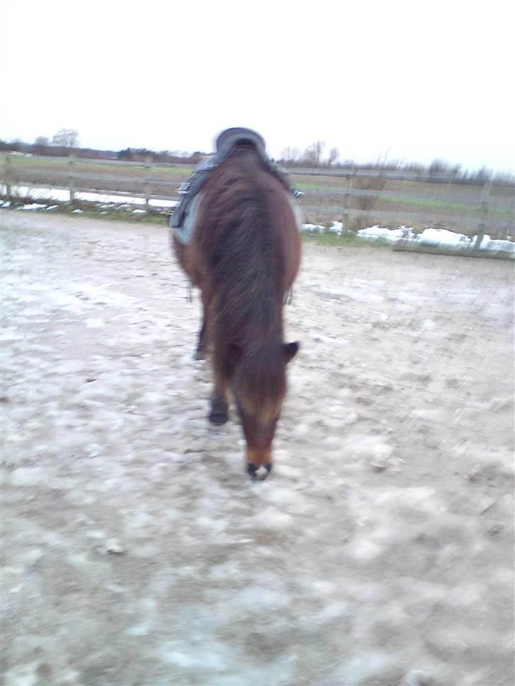 Billeder Af Sigurd, mig Marco, Petra & Signe - Sigurd der igen spiser is.. billede 35