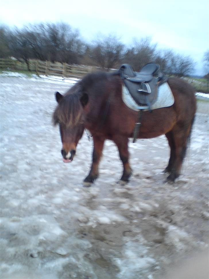 Billeder Af Sigurd, mig Marco, Petra & Signe - Sigurd sliker sig efter måltidet?! billede 37