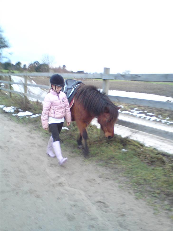 Billeder Af Sigurd, mig Marco, Petra & Signe - Tøzzerne.. billede 38