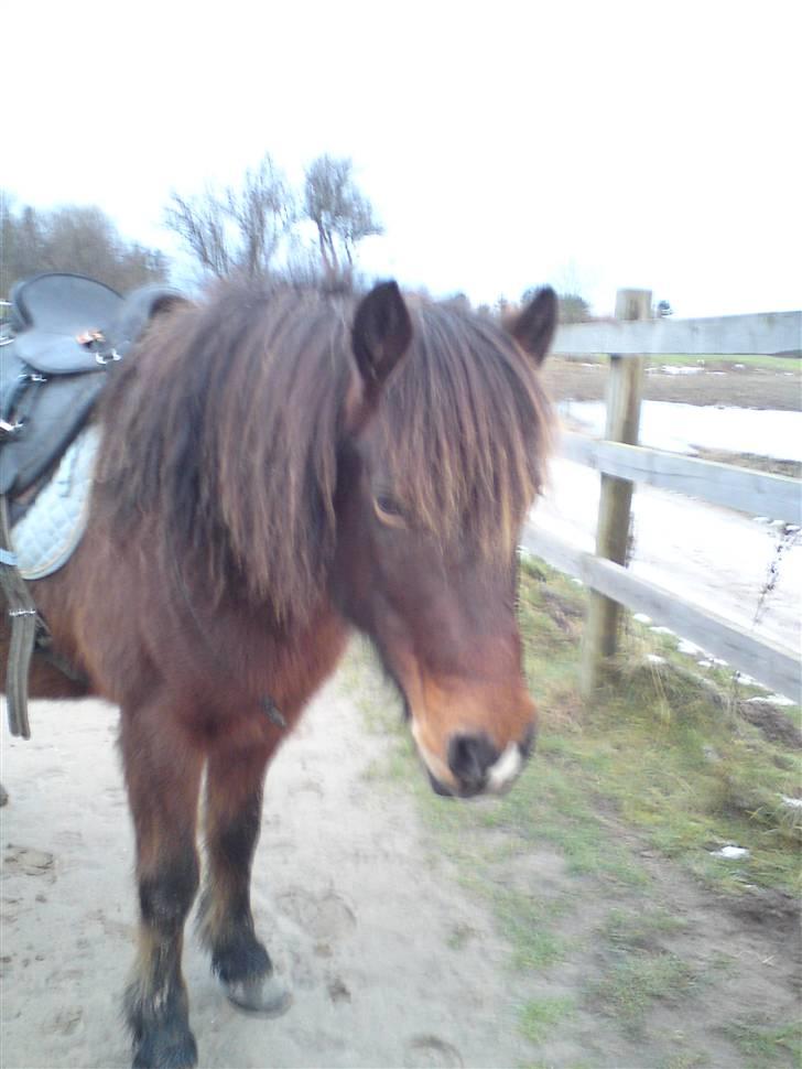 Billeder Af Sigurd, mig Marco, Petra & Signe - Sigurd du er jo gudesmuk! billede 39