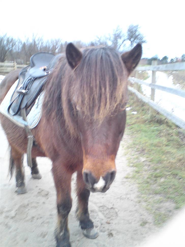 Billeder Af Sigurd, mig Marco, Petra & Signe - Sigurd.. billede 40