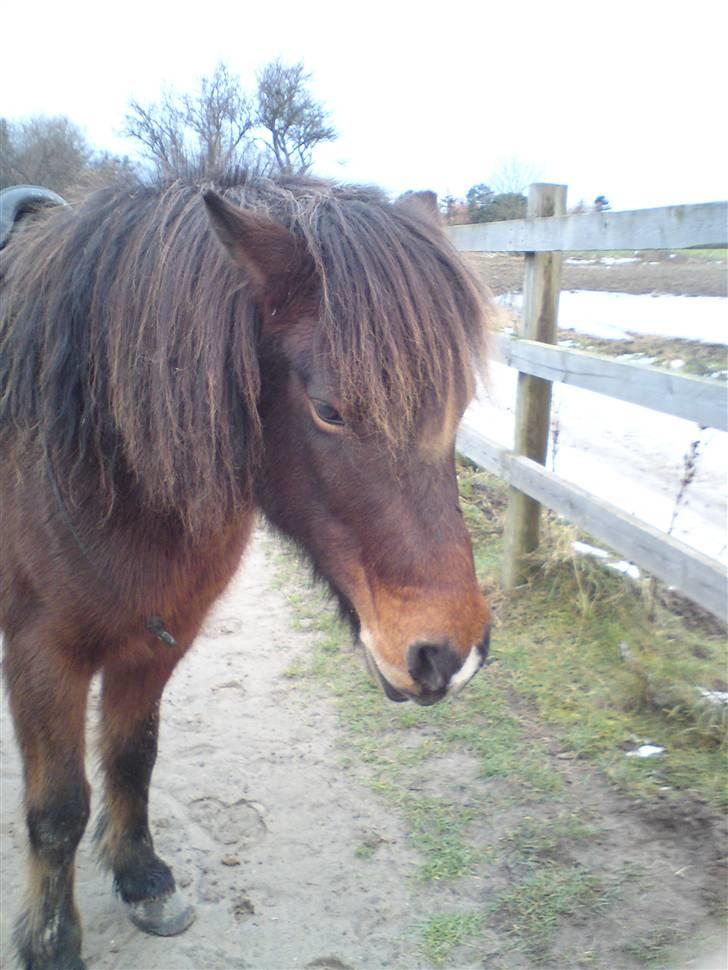 Billeder Af Sigurd, mig Marco, Petra & Signe - Sigurd igen. billede 41