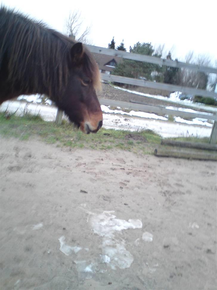 Billeder Af Sigurd, mig Marco, Petra & Signe - Smukke Sigurd drengen <3 billede 2