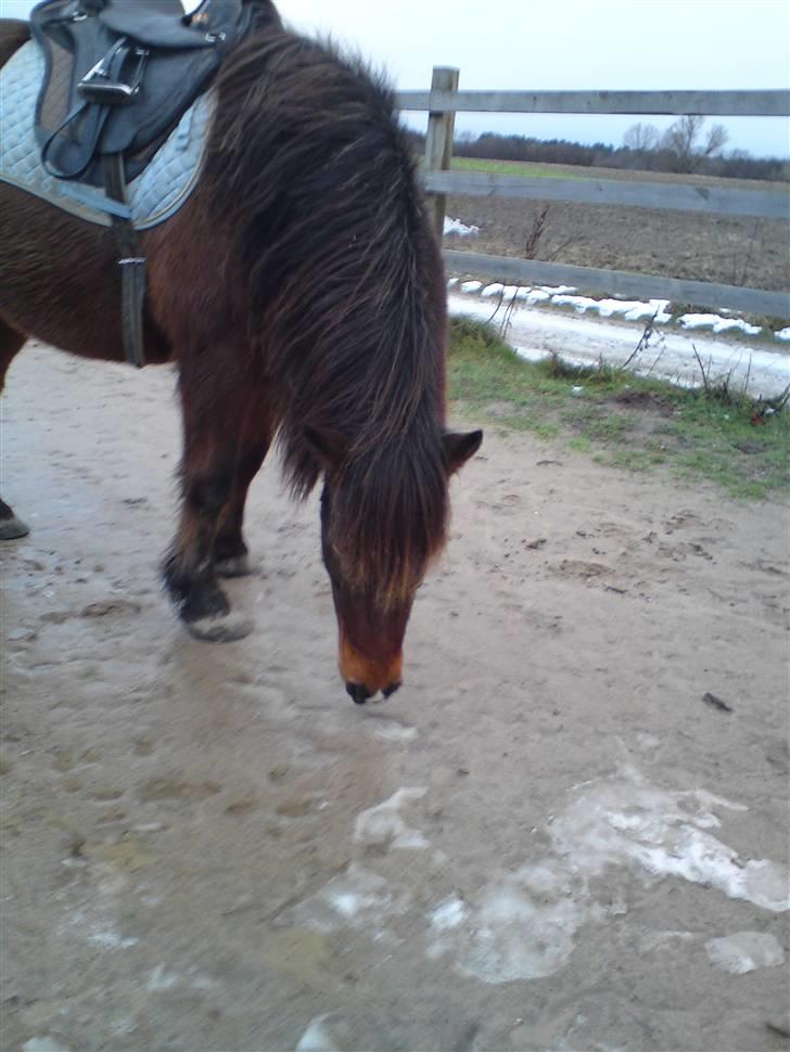 Billeder Af Sigurd, mig Marco, Petra & Signe - Her er han igen.. <3 billede 43