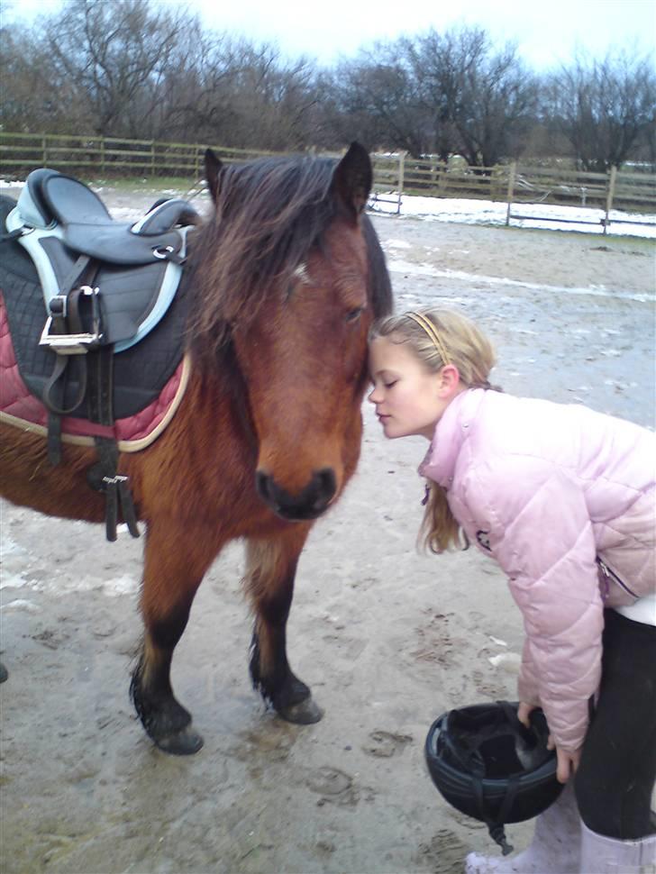 Billeder Af Sigurd, mig Marco, Petra & Signe - Igen tøzzerne billede 45