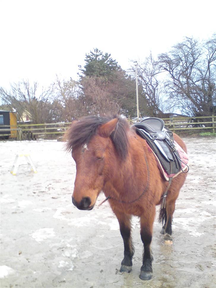 Billeder Af Sigurd, mig Marco, Petra & Signe - Smukke petra piqen. billede 49