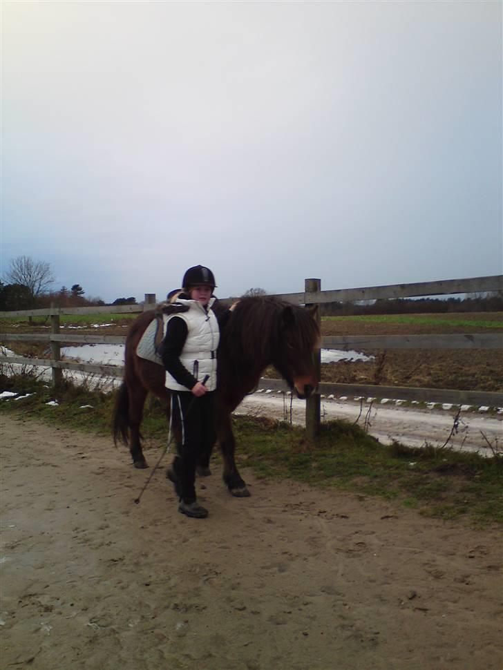 Billeder Af Sigurd, mig Marco, Petra & Signe - Stoppeleg fra zone 2. billede 51