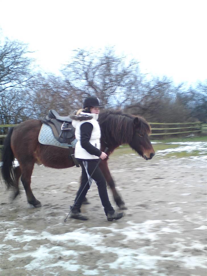 Billeder Af Sigurd, mig Marco, Petra & Signe - Igen stoppelegen fra zone 2. billede 52