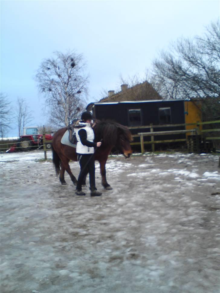 Billeder Af Sigurd, mig Marco, Petra & Signe - Mig & Bassen-. billede 3