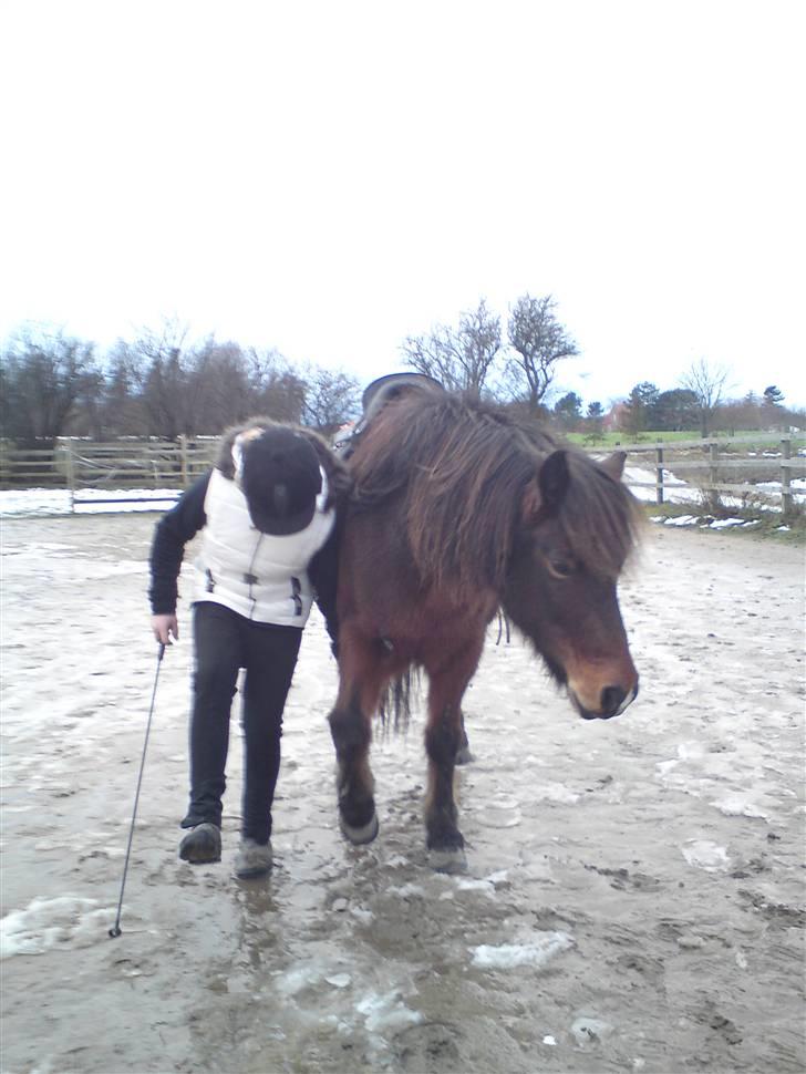 Billeder Af Sigurd, mig Marco, Petra & Signe - Ja spanske skridt.. billede 54