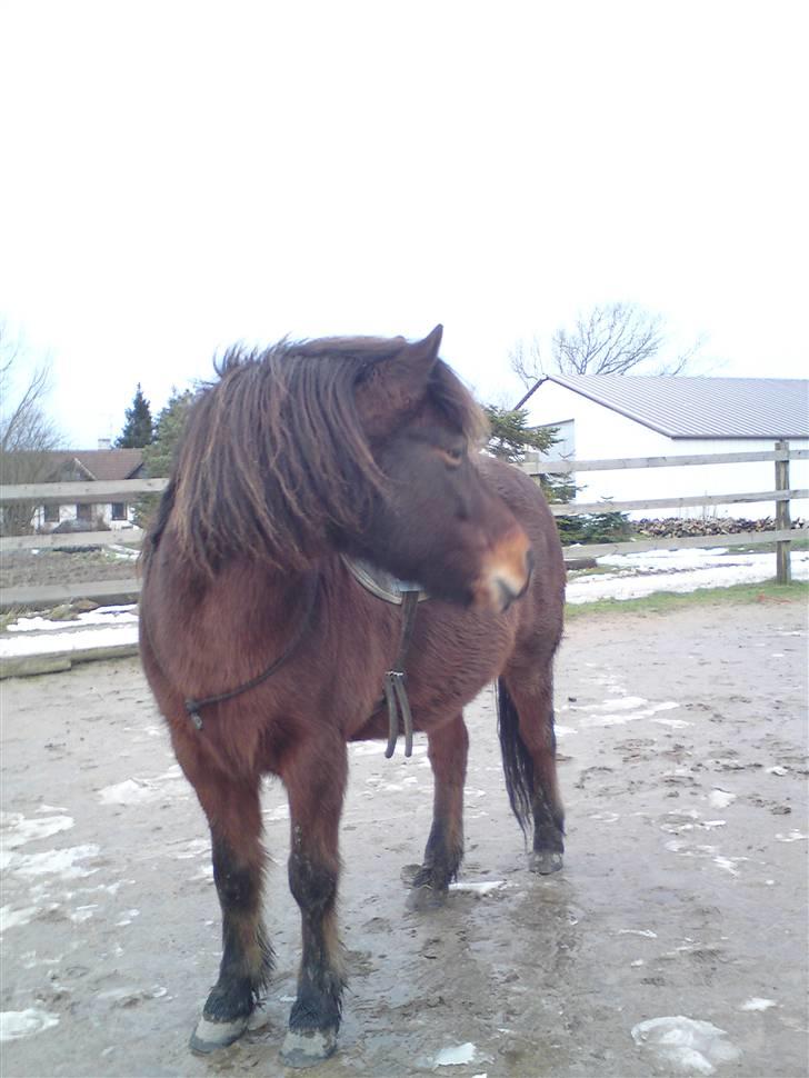 Billeder Af Sigurd, mig Marco, Petra & Signe - Fotogene Sigurd. billede 55