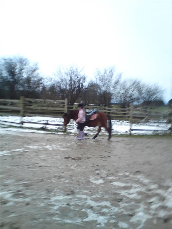 Billeder Af Sigurd, mig Marco, Petra & Signe - Signe & Petra laver stoppelegen fra zone 2. billede 57