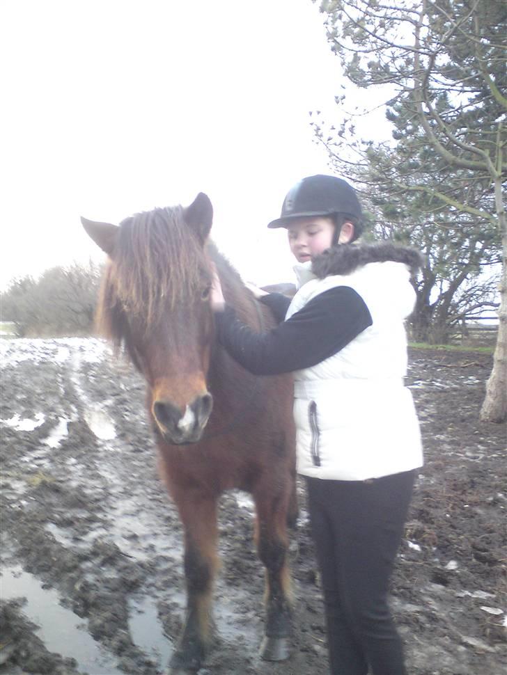 Billeder Af Sigurd, mig Marco, Petra & Signe - På folden.. billede 58