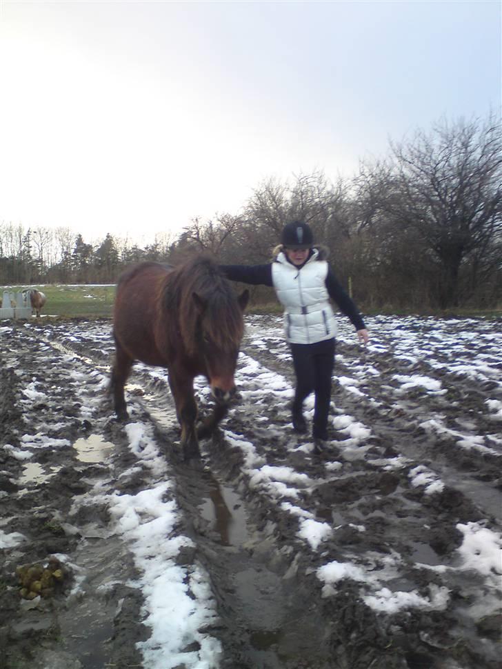 Billeder Af Sigurd, mig Marco, Petra & Signe - På vej ind til banen.. billede 59