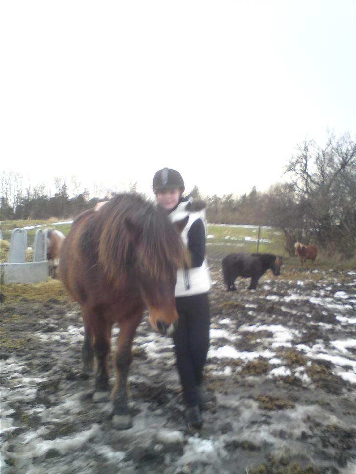 Billeder Af Sigurd, mig Marco, Petra & Signe - Ja på vej ind til banen.. billede 60