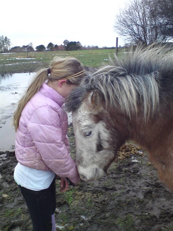 Billeder Af Sigurd, mig Marco, Petra & Signe - Marco & Signe.. billede 61