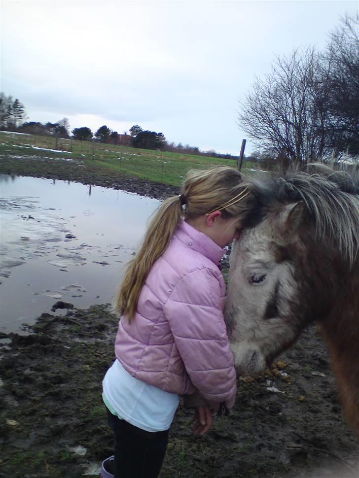 Billeder Af Sigurd, mig Marco, Petra & Signe - Igen det smukke par.. billede 62