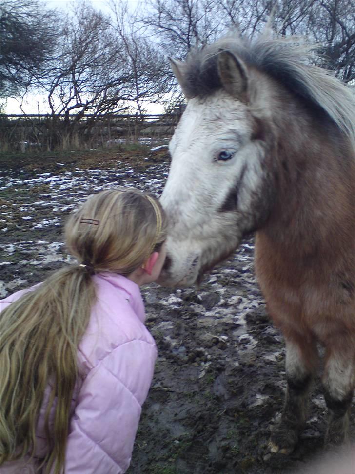 Billeder Af Sigurd, mig Marco, Petra & Signe - Kys, kys <3 billede 63