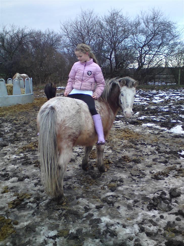 Billeder Af Sigurd, mig Marco, Petra & Signe - Man kan også side den anden vej <3 billede 65
