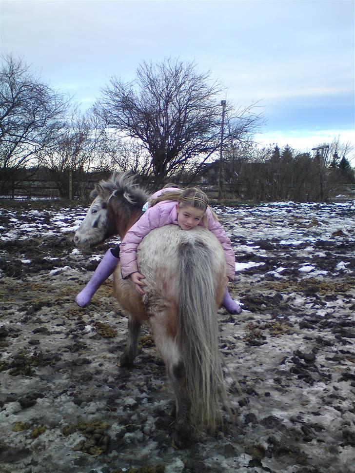 Billeder Af Sigurd, mig Marco, Petra & Signe - Kramme-billede.. billede 66