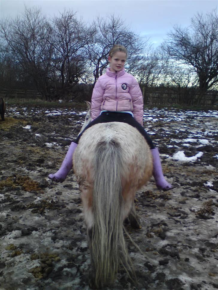 Billeder Af Sigurd, mig Marco, Petra & Signe - Signe & Marco.. IGEN! billede 68