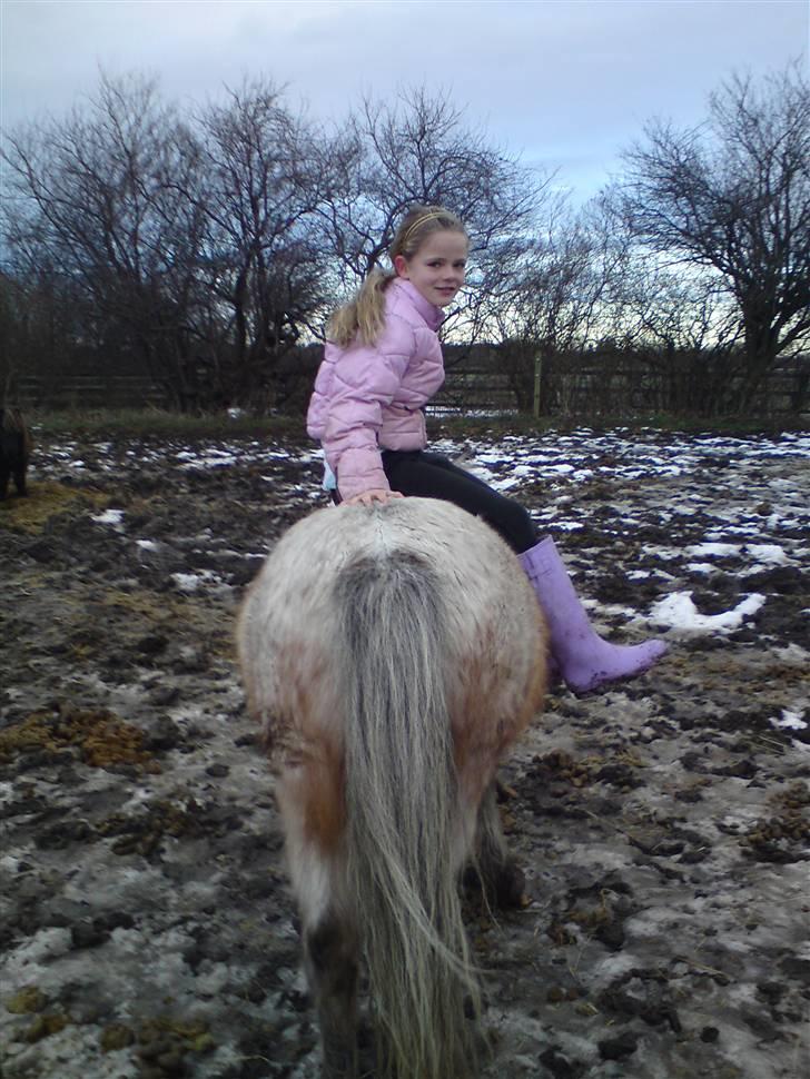 Billeder Af Sigurd, mig Marco, Petra & Signe - I damesadel.. billede 69