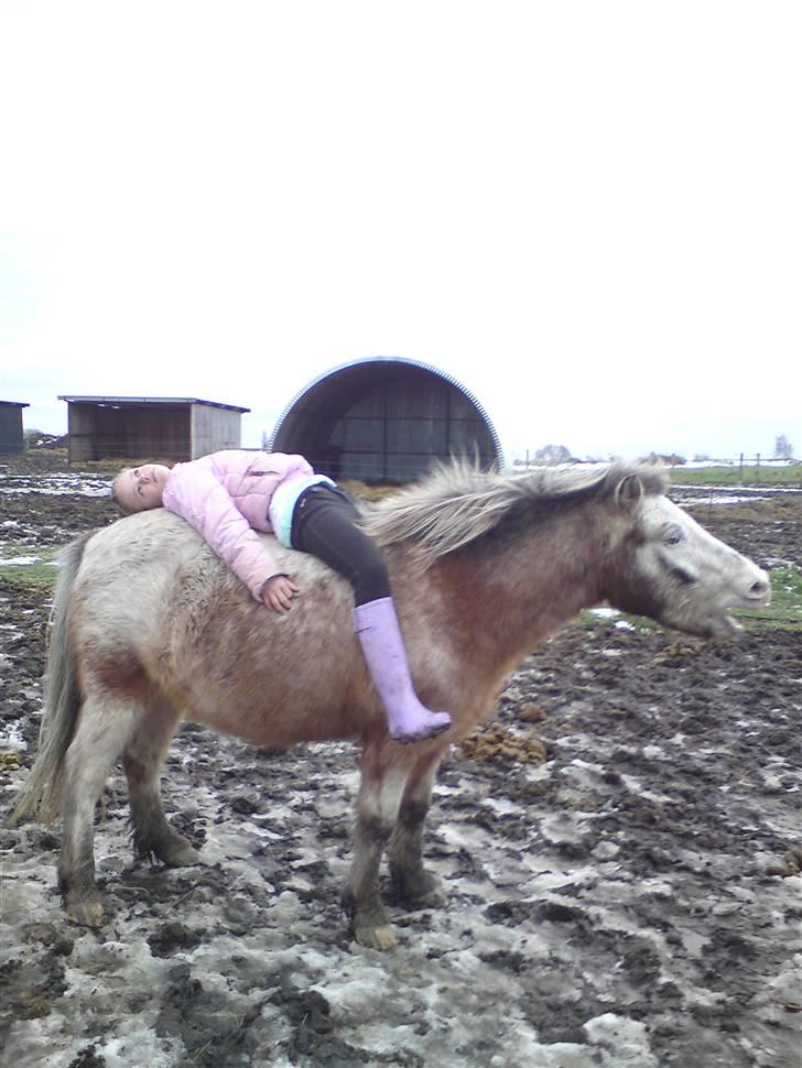 Billeder Af Sigurd, mig Marco, Petra & Signe - Gaab! billede 70