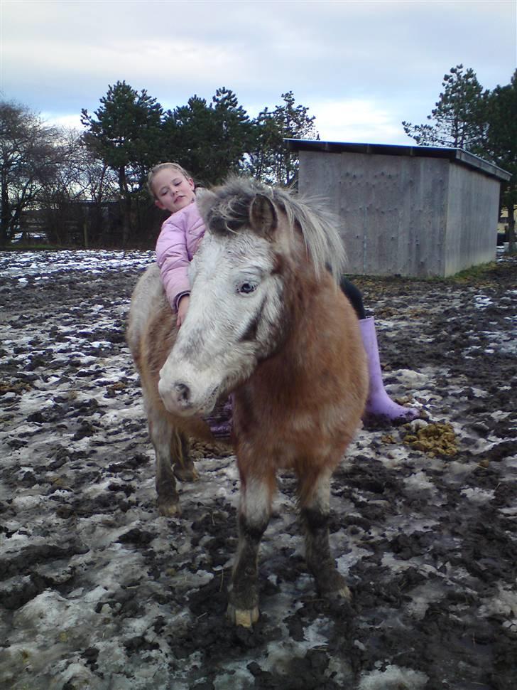 Billeder Af Sigurd, mig Marco, Petra & Signe - Signe & Marco <3 billede 71