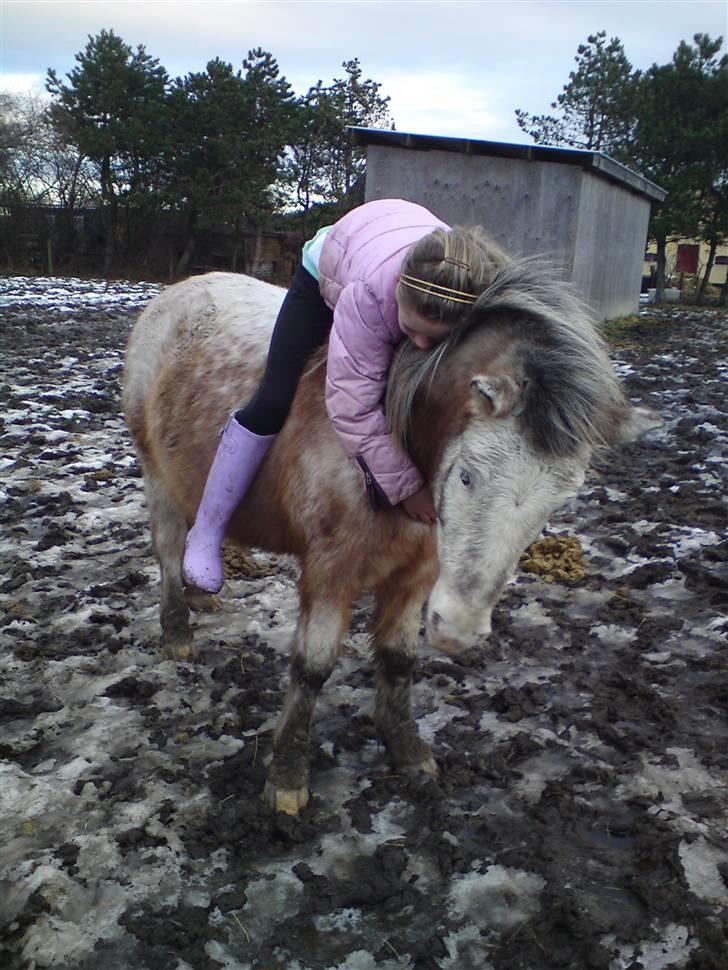 Billeder Af Sigurd, mig Marco, Petra & Signe - Kram kram! billede 72