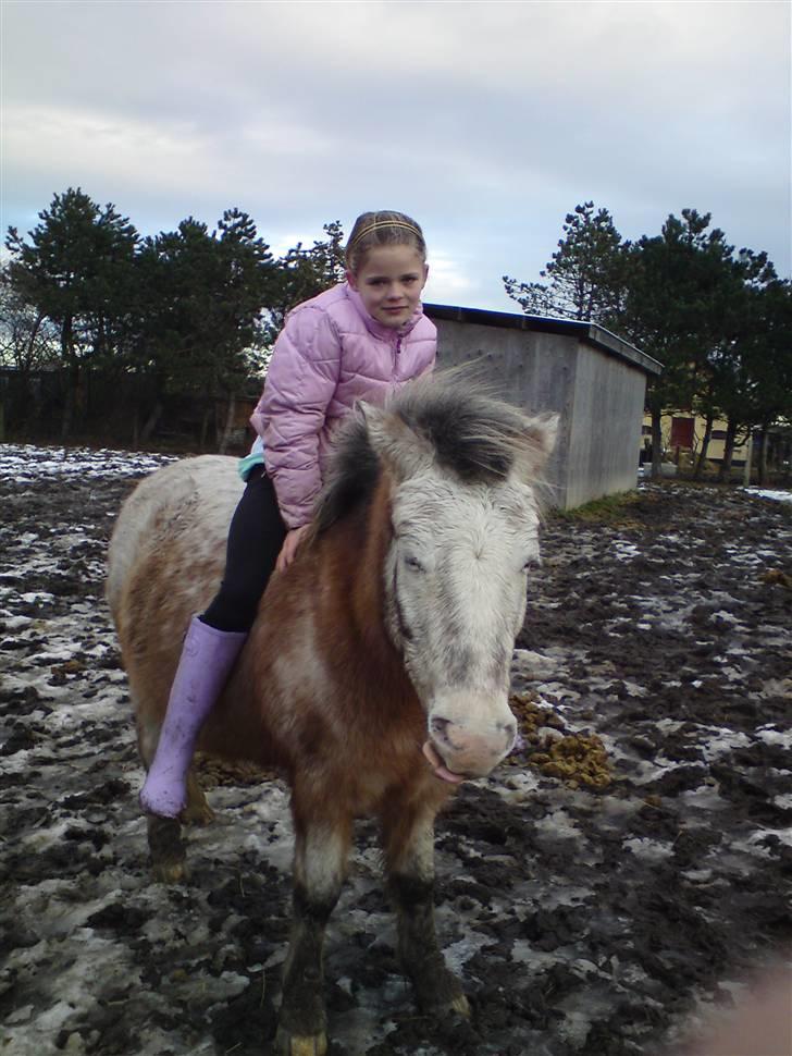 Billeder Af Sigurd, mig Marco, Petra & Signe - Bare nyde livet! billede 73