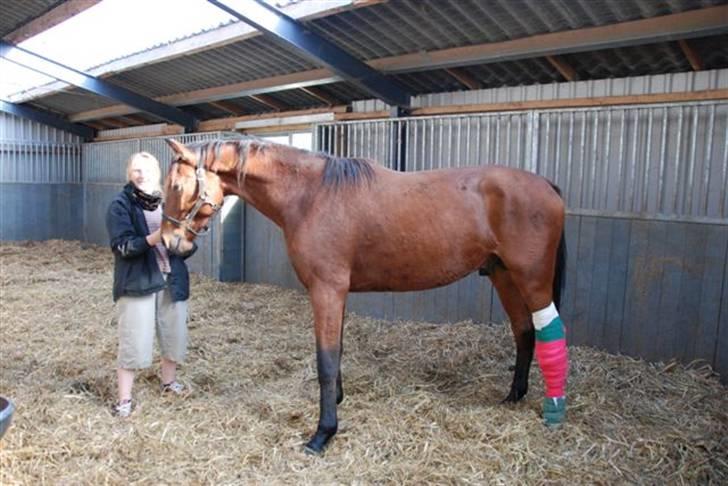 Luritos skade billede 1