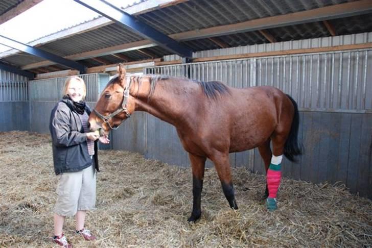 Luritos skade billede 2