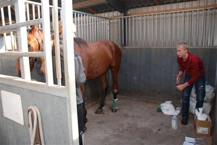 Luritos skade billede 3