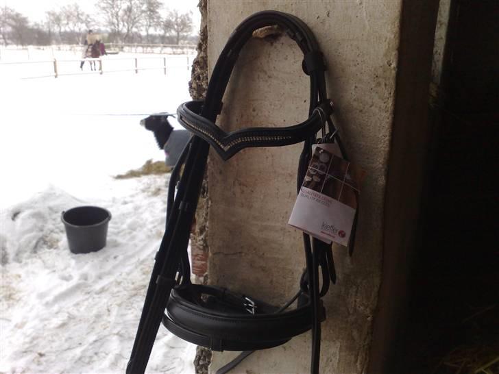 Natrons udstyr - Kieffer Katharina trense. Str pony. billede 1