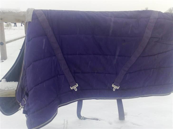 Natrons udstyr - Eskadron Stalddækken. Lavender. Str 115 cm. billede 2