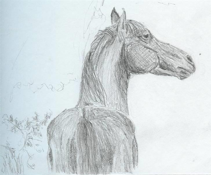 Mine Tegninger - # Araber, 05 billede 8