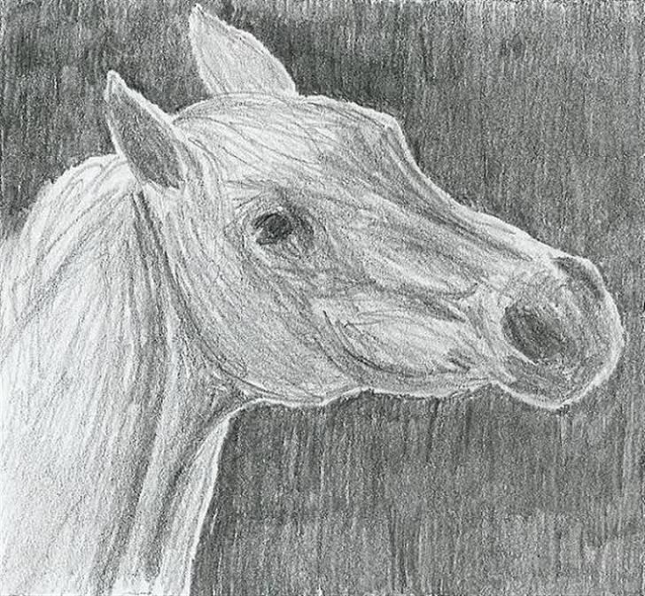 Mine Tegninger - # araber, 05 billede 9