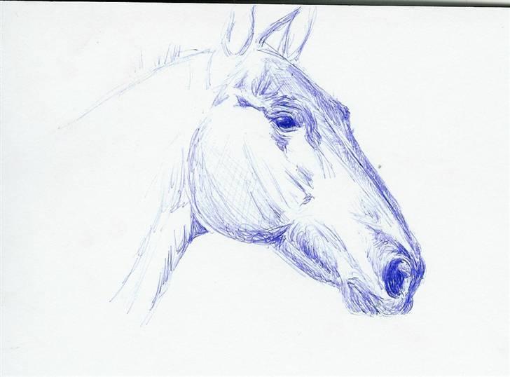 Mine Tegninger - # hest, 06 billede 10