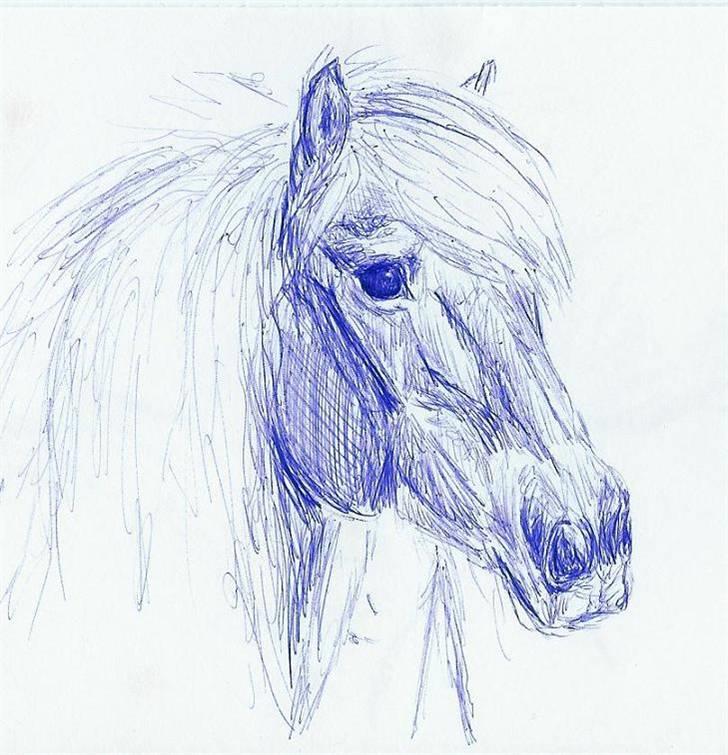 Mine Tegninger - # Islænder, 07 billede 11