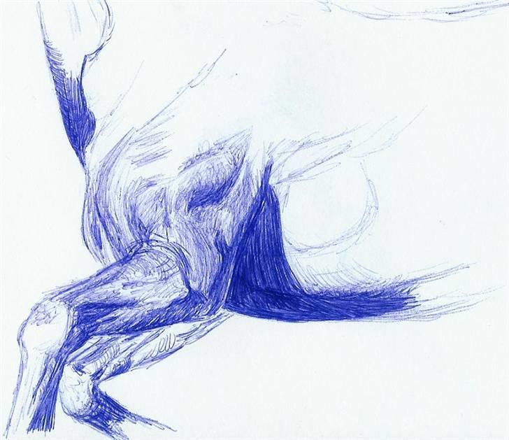 Mine Tegninger - Jaae, fik ikk lavet mere en forparten, men er stolt af den ;)
# forpart, 07 billede 12