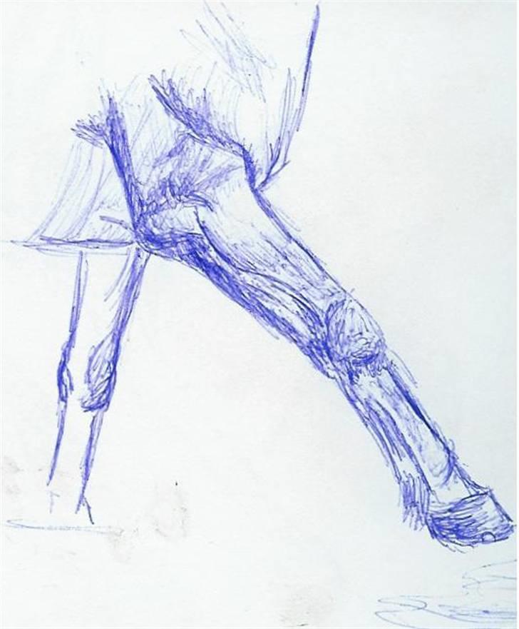 Mine Tegninger - Endnu engang, tror jeg følte behovfor at tegne noget andet end bare hoveder...
# forben, 07 billede 13