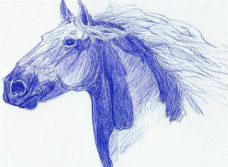Mine Tegninger - Egentlig skulle det forestille en lippizaner, men hovedet blev for kort og for bredt, og hesten ligner nu mere en breton, ardenner eller lign - men er stadig stolt over tegningen
# Lippizaner, 07 billede 14