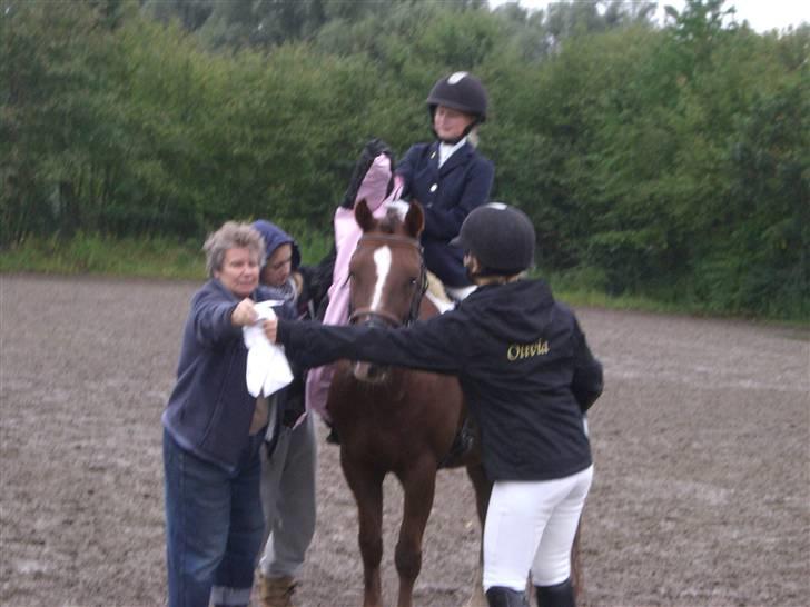 Stenrødgård og andre..... billede 2