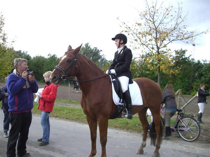 Stenrødgård og andre..... billede 3