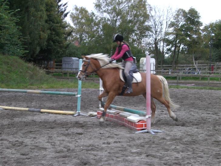 Stenrødgård og andre..... billede 1