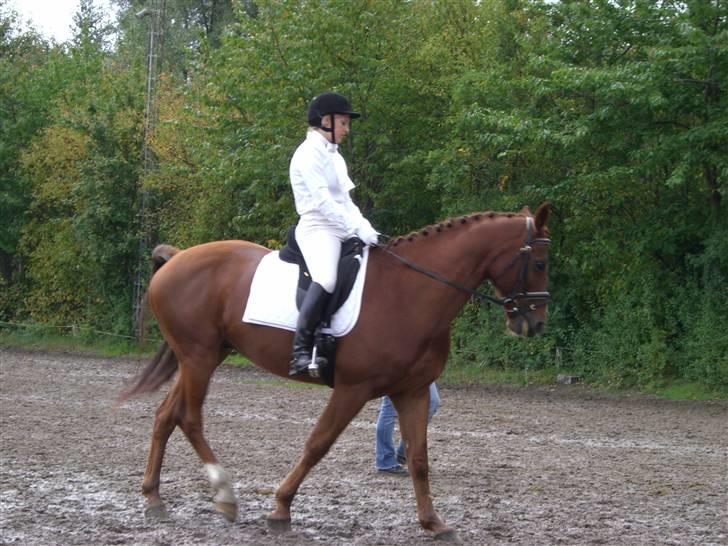 Stenrødgård og andre..... billede 4